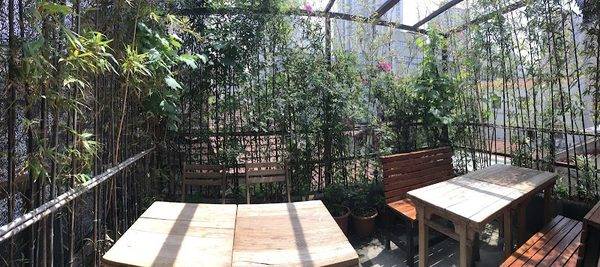 Cafe Dan